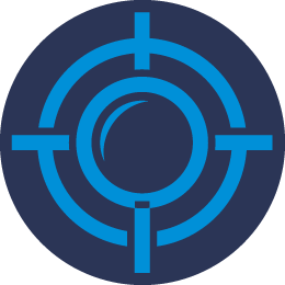 Flea Infestation Treatment