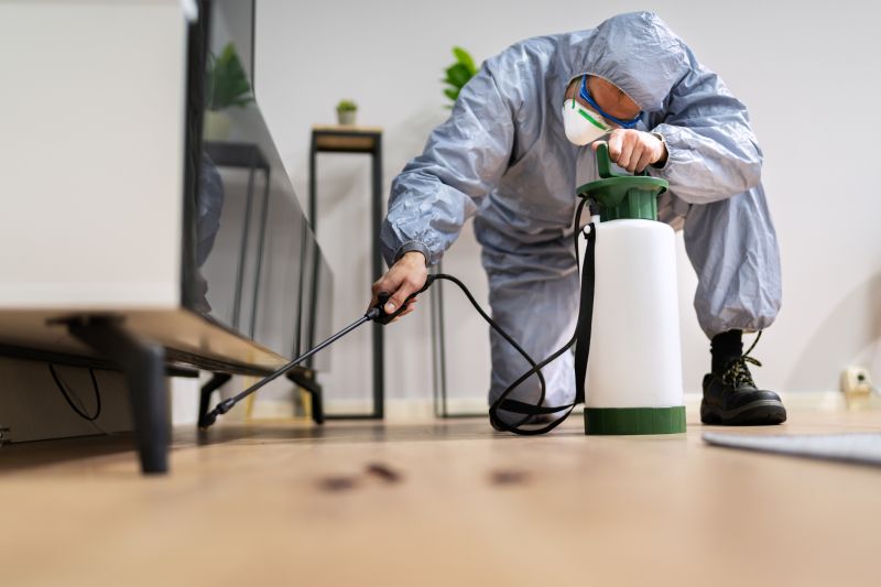 Pest Fumigation Service in San Antonio, TX