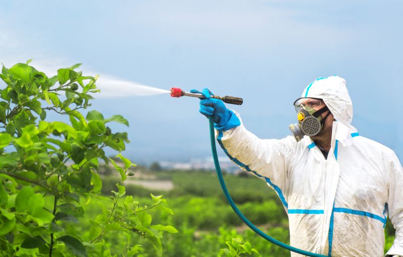 Roach Fumigation in Columbus, OH