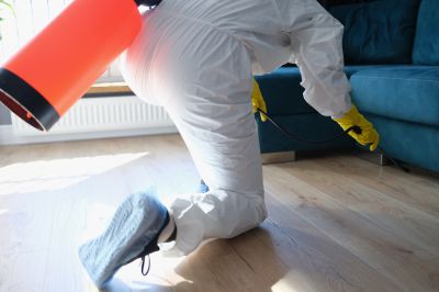 Pest Fumigation Service in Coeur D Alene, ID