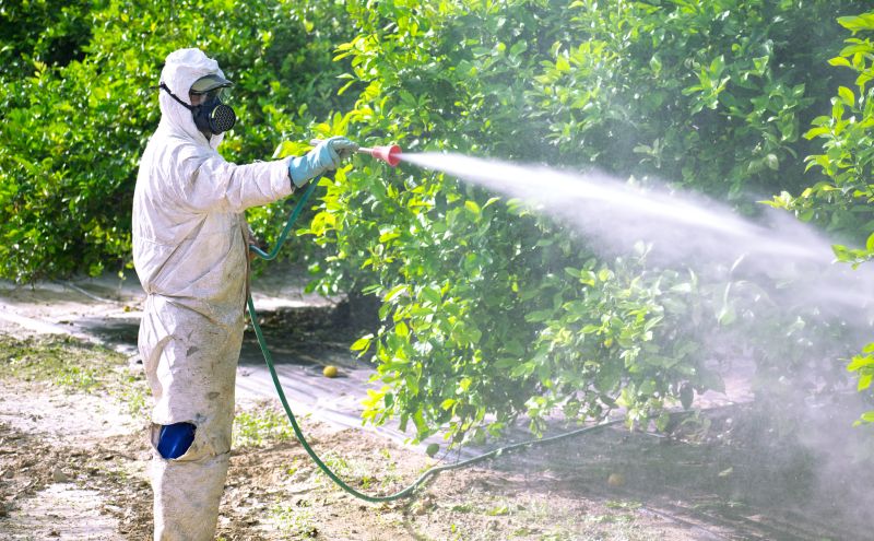 Pest Fumigation Service in Myrtle Beach, SC